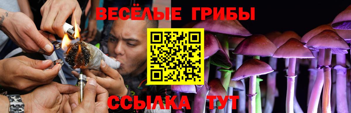 купить  цена  Вход с VPN  Псилоцибиновые грибы прущие грибы  Нерюнгри  Галлюциногенные грибы GOLDEN TEACHER 